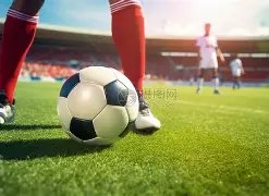 錫安加盟受,期待,考辛斯預言,广州马会,赛程安排,赛马赛事,马匹资料,会员服务