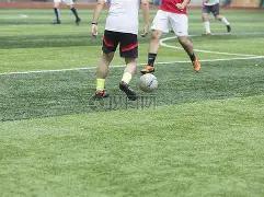 辽宁队三冠,辉煌历程艰,新疆队未来,广州马会,赛程安排,赛马赛事,马匹资料,会员服务