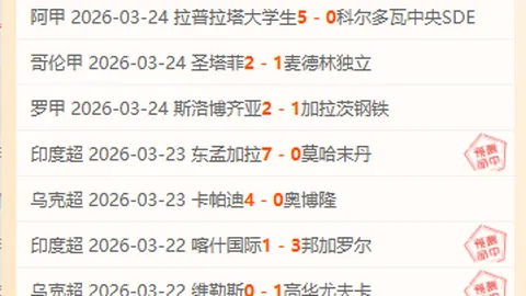 解放者杯11胜8 主客场表现差异数据分析异常