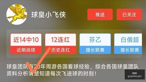 广州马会 115026 8